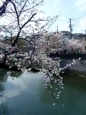 弘明寺の御朱印