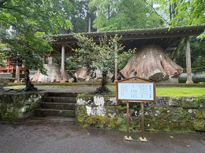 宇奈岐日女神社の{uncategorized: "未分類", other: "その他", undefined: "問題あり", building: "その他建物", grave: "お墓", sacred_gate: "鳥居", guardian: "狛犬", statue: "像", buddha: "仏像", history: "歴史", nature: "自然", garden: "庭園", animal: "動物", pagoda: "塔", temizu: "手水舎", mountain_gate: "山門・神門", sanctuary: "本殿・本堂", subordinate: "末社・摂社", art: "芸術", scenery: "景色", jizo: "地蔵", ema: "絵馬", goshuin: "御朱印", omikuji: "おみくじ", items: "授与品その他", amulet: "お守り", goshuincho: "御朱印帳", eats: "食事", festival: "お祭り", votive_dance: "神楽", shichigosan: "七五三参", wedding: "結婚式", experience: "体験その他", initially: "初詣", around: "周辺", anti_infection: "感染症対策"}