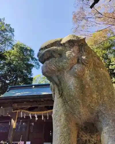 諏訪八幡神社の狛犬