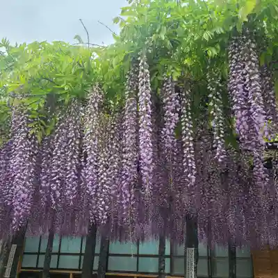 武蔵寺(福岡県)