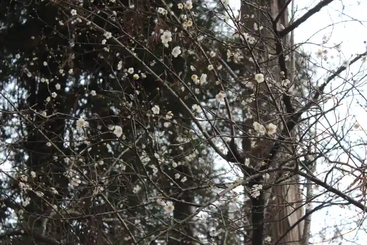 八幡神社(千葉県)