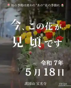 宝光寺(北海道)(2025年05月18日(日) 14時30分54秒投稿)
