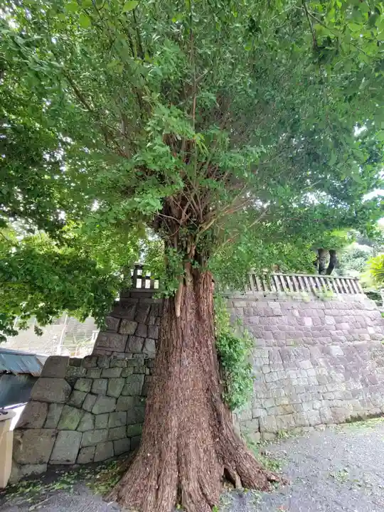叶神社 (西叶神社)の自然