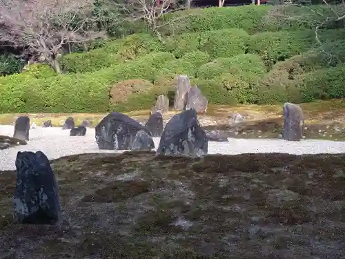 光明院（光明禅院）の{uncategorized: "未分類", other: "その他", undefined: "問題あり", building: "その他建物", grave: "お墓", sacred_gate: "鳥居", guardian: "狛犬", statue: "像", buddha: "仏像", history: "歴史", nature: "自然", garden: "庭園", animal: "動物", pagoda: "塔", temizu: "手水舎", mountain_gate: "山門・神門", sanctuary: "本殿・本堂", subordinate: "末社・摂社", art: "芸術", scenery: "景色", jizo: "地蔵", ema: "絵馬", goshuin: "御朱印", omikuji: "おみくじ", items: "授与品その他", amulet: "お守り", goshuincho: "御朱印帳", eats: "食事", festival: "お祭り", votive_dance: "神楽", shichigosan: "七五三参", wedding: "結婚式", experience: "体験その他", initially: "初詣", around: "周辺", anti_infection: "感染症対策"}