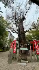 杭全神社(大阪府)