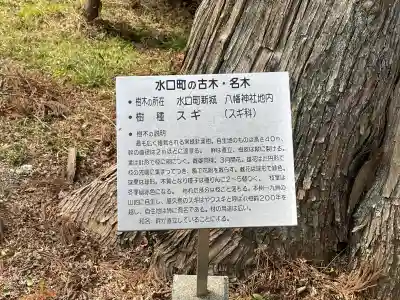 八幡神社(水口町新城)の{uncategorized: "未分類", other: "その他", undefined: "問題あり", building: "その他建物", grave: "お墓", sacred_gate: "鳥居", guardian: "狛犬", statue: "像", buddha: "仏像", history: "歴史", nature: "自然", garden: "庭園", animal: "動物", pagoda: "塔", temizu: "手水舎", mountain_gate: "山門・神門", sanctuary: "本殿・本堂", subordinate: "末社・摂社", art: "芸術", scenery: "景色", jizo: "地蔵", ema: "絵馬", goshuin: "御朱印", omikuji: "おみくじ", items: "授与品その他", amulet: "お守り", goshuincho: "御朱印帳", eats: "食事", festival: "お祭り", votive_dance: "神楽", shichigosan: "七五三参", wedding: "結婚式", experience: "体験その他", initially: "初詣", around: "周辺", anti_infection: "感染症対策"}