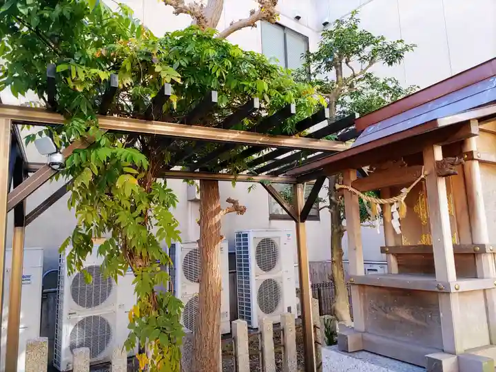 大道米運龍神の自然