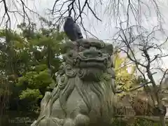 三嶋大社の狛犬