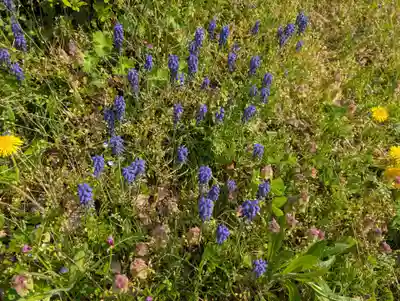 鹿島大神宮(福島県)
