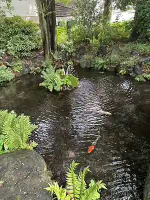 秩父今宮神社(埼玉県)