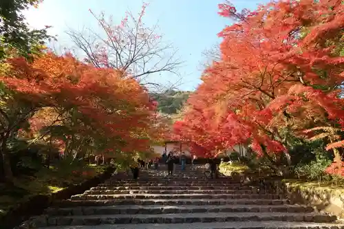 二尊院(京都府)