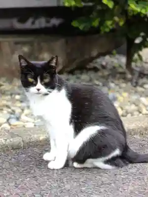 白金氷川神社(東京都)