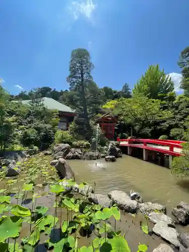 高幡不動尊　金剛寺の庭園