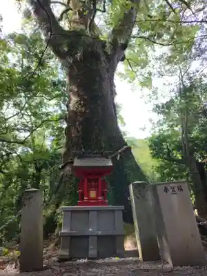 水屋神社(三重県)