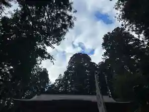 大宮温泉神社(栃木県)(2023年02月26日(日) 07時37分20秒投稿)