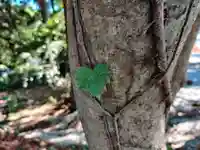 琴崎八幡宮(山口県)