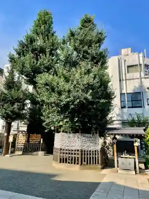 天祖神社(東京都)