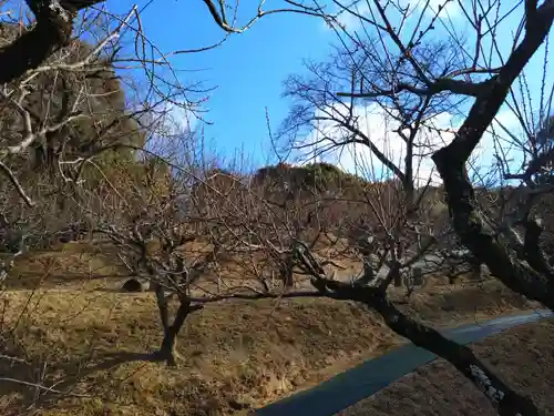 岩津天満宮(愛知県)