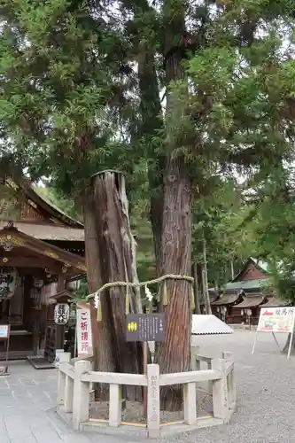 建部大社(滋賀県)
