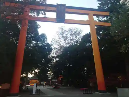 川越氷川神社の鳥居