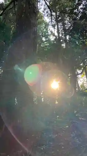 熊山神社の自然