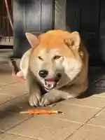 笠䅣稲荷神社(神奈川県)