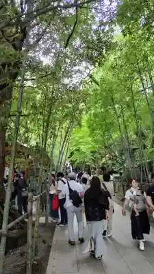 來宮神社(静岡県)