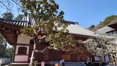 佛日庵の本殿・本堂