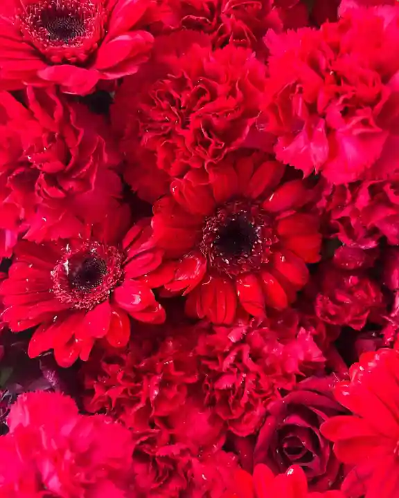 札幌諏訪神社の手水舎