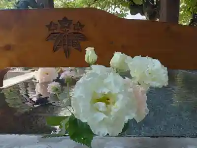 阿部野神社(大阪府)