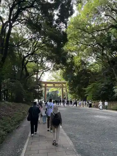 明治神宮(東京都)