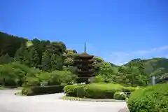 瑠璃光寺の庭園