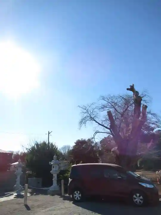 香取神社(茨城県)