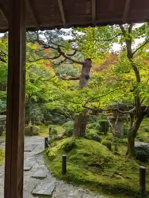 圓光寺(京都府)