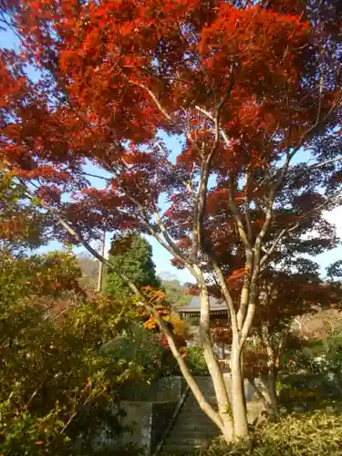 海蔵寺の景色