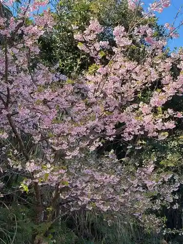 鵜戸神宮(宮崎県)