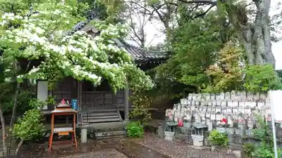 八坂寺(愛媛県)