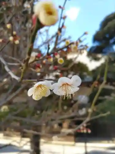 清泰寺の庭園