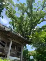 山神社(千葉県)