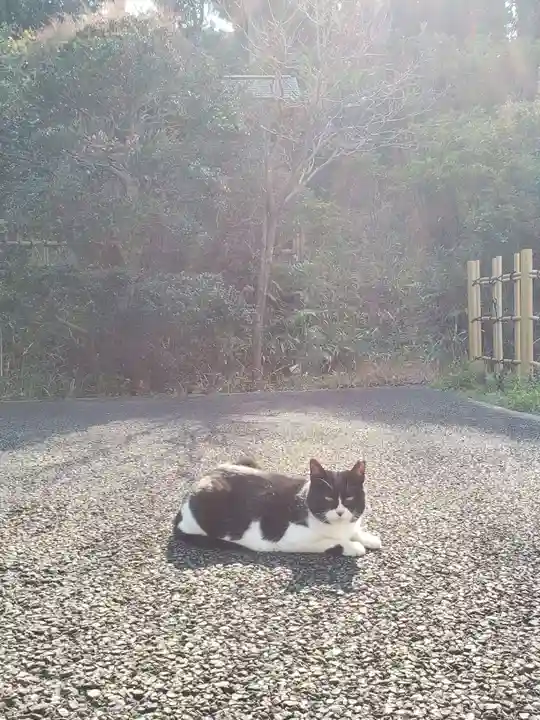 白金氷川神社(東京都)