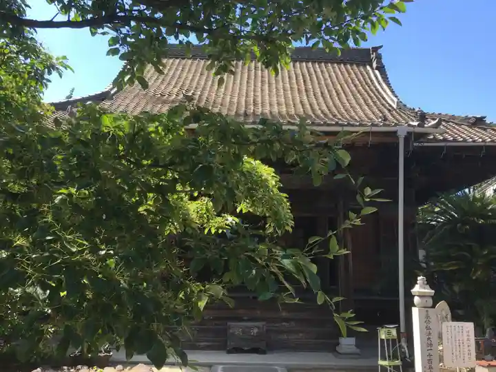 妙楽寺の本殿・本堂