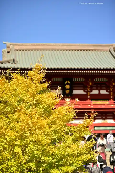 鶴岡八幡宮の本殿・本堂