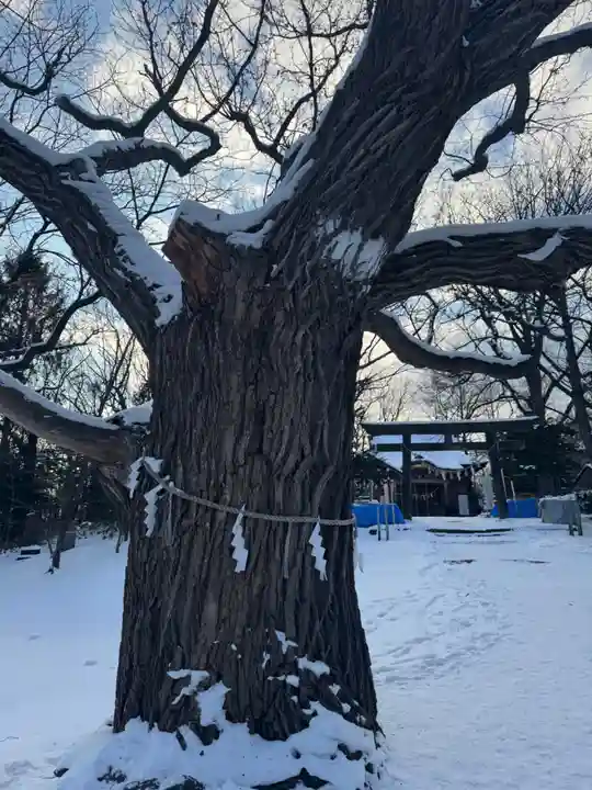 相馬神社(北海道)