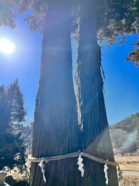 高司神社〜むすびの神の鎮まる社〜(福島県)