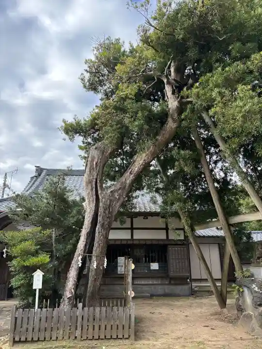 玉崎神社(千葉県)