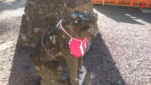 熊野那智神社の狛犬