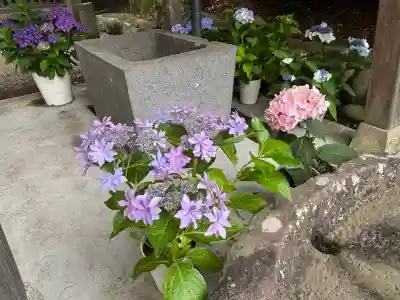 吾妻神社(群馬県)