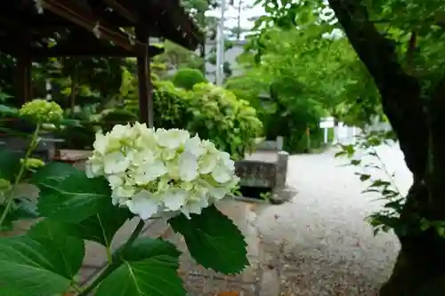 鴨都波神社の庭園