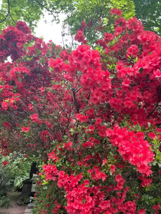 多聞院(埼玉県)