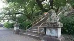 建勲神社の狛犬